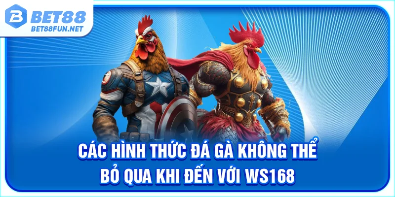 Các hình thức đá gà không thể bỏ qua khi đến với WS168