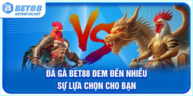 Đá gà BET88 đem đến nhiều sự lựa chọn cho bạn