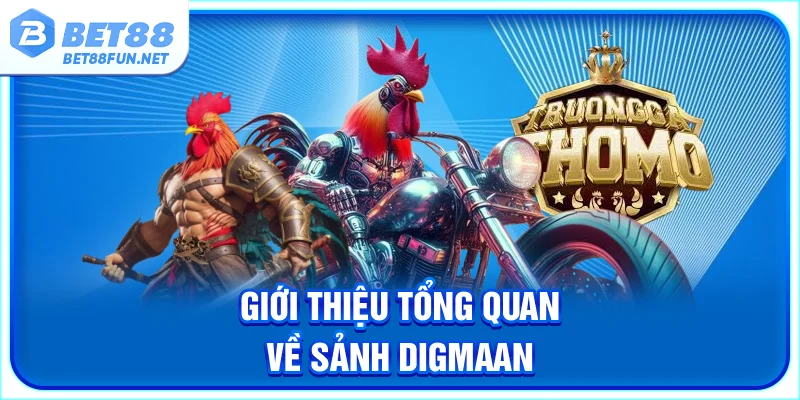 Giới thiệu tổng quan về sảnh Digmaan