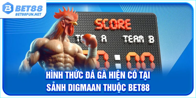 Hình thức đá gà hiện có tại sảnh Digmaan thuộc BET88
