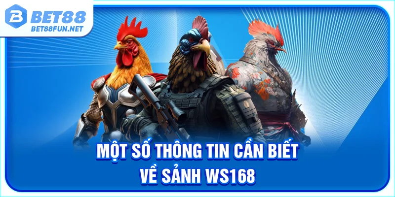 Một số thông tin cần biết về sảnh WS168