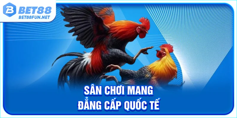 Sân chơi mang đẳng cấp quốc tế
