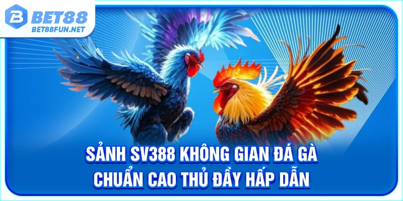 Sảnh SV388 - Không Gian Đá Gà Chuẩn Cao Thủ Đầy Hấp Dẫn