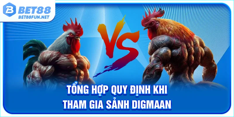 Tổng hợp quy định khi tham gia sảnh Digmaan