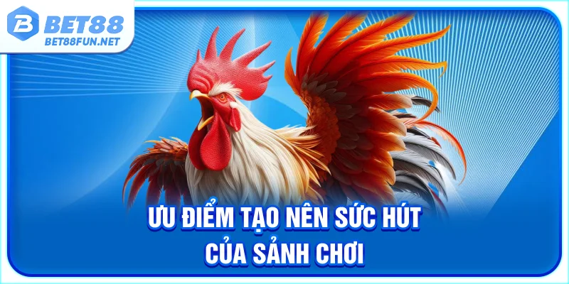 Ưu điểm tạo nên sức hút của sảnh chơi